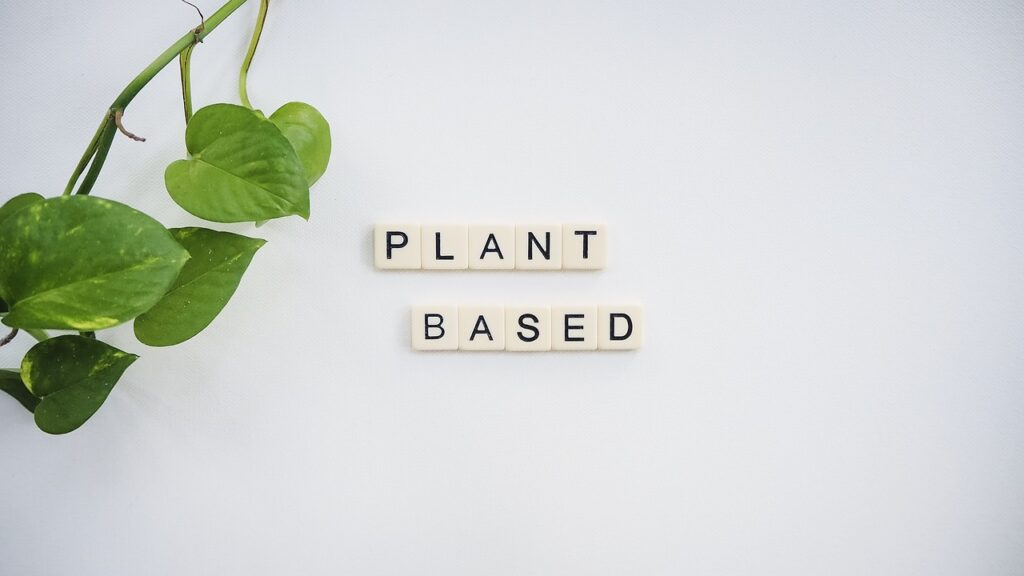 plant based, vegan, vegetarian-4235884.jpg