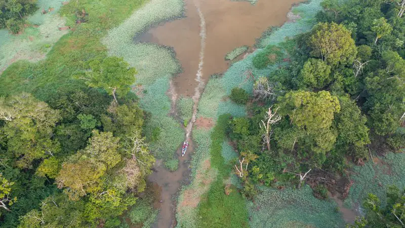 The Amazon has survived changes in the climate for 65 million years. Now it’s heading for collapse, a study says